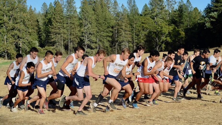 Men's Cross Country debuts with strong showing at PUC