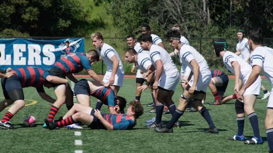Rugby honors its 14 seniors in 2019 regular season finale